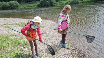 Kiesbank im Weserbogen Corvey