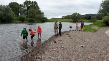 Rund um Schloss Corvey der Natur auf der Spur - Kiesbank der Weser