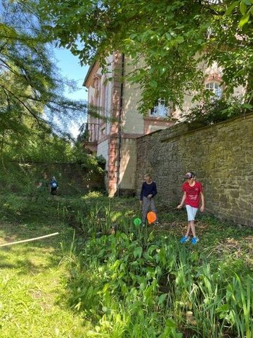 Mit Keschern und Sieben wurde der Wasserlauf vor der Schlossmauer erkundet