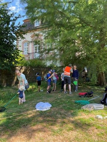 Mit Keschern und Sieben wurde der Wasserlauf vor der Schlossmauer erkundet