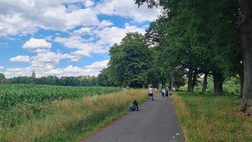 Rückweg auf dem Weserradweg R1/R99 im Weserbogen in Corvey