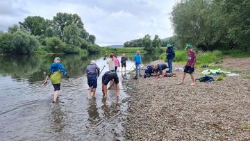 Beim Keschern nach Wassertieren auf einer Kiesbank in der Weser