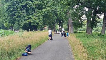 Rückweg auf dem Weserradweg R1/R99 im Weserbogen in Corvey