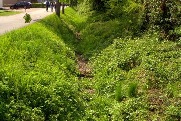 Der Twierbach in Höxter-Stahle