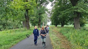 Rückweg auf dem Weser-Radweg durch die historische Eichenallee