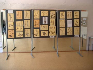 Herbarium