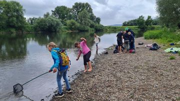 Beim Keschern nach Wassertieren auf einer Kiesbank in der Weser