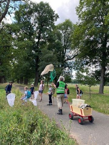 Eichenallee im Weserbogen in Corvey