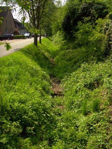 Der Twierbach in Höxter-Stahle