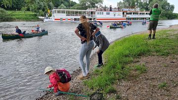 Kiesbank im Weserbogen Corvey