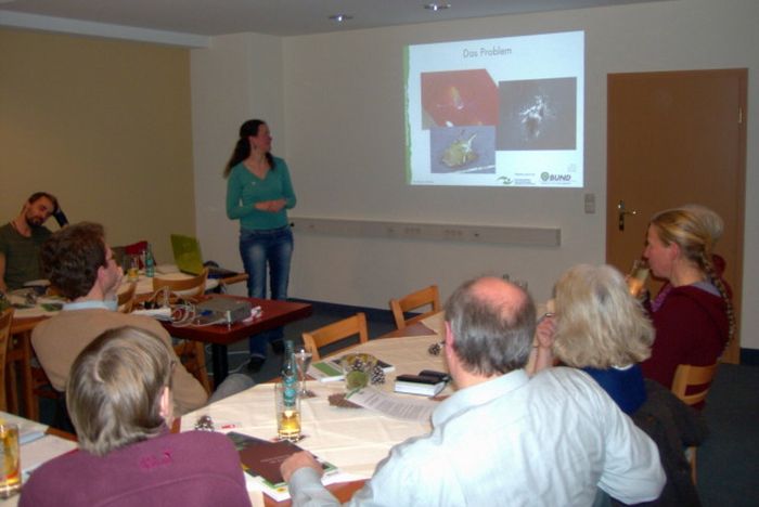 Dr. Judith Förster stellt das landesweite BUND-Projekt "Vogelschlag an Glas" in Höxter vor