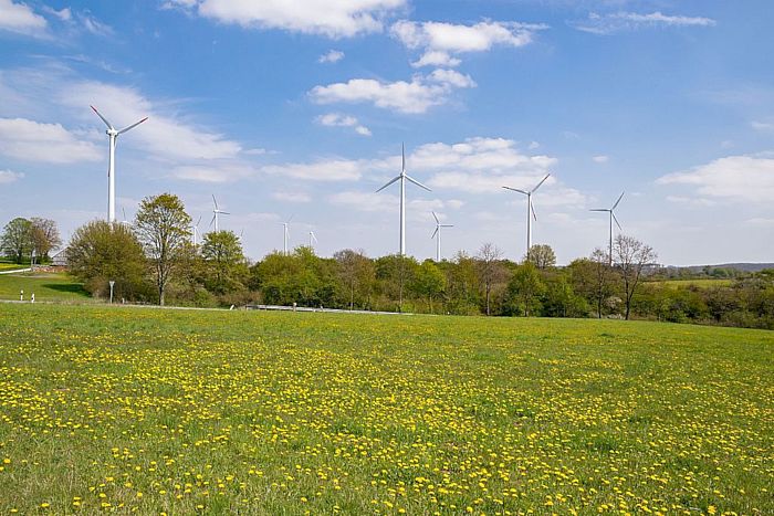 Windenergieanlagen am NSG Kalktriften in Willebadessen