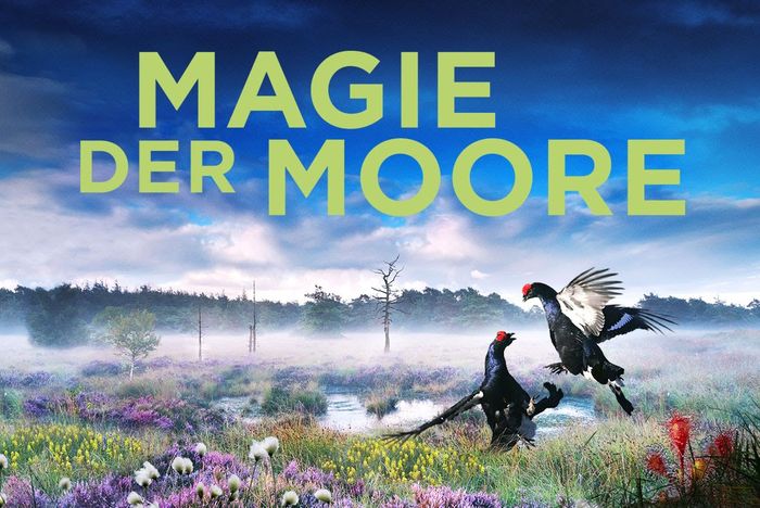 Filmplakat: Magie der Moore