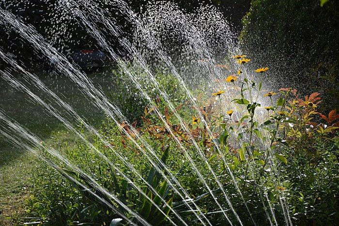 Gartenbau und Landwirtschaft müssen sich auf Klimaextreme einstellen
