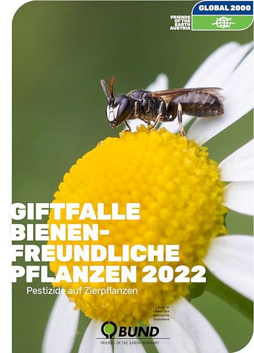 Giftfalle: Bienenfreundliche Pflanzen 2022