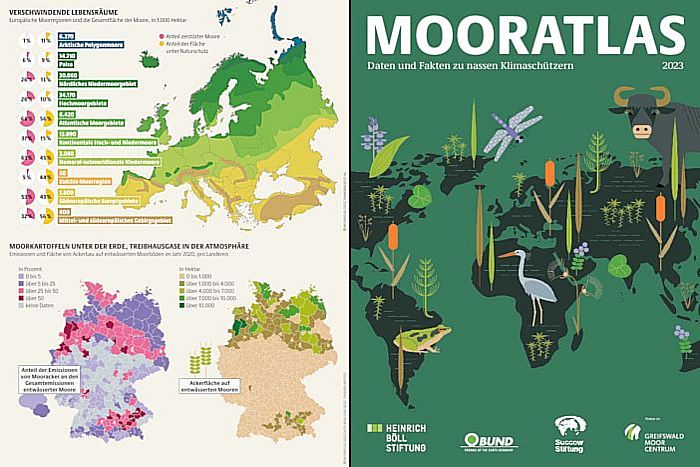Mooratlas 2023: Daten und Fakten zu nassen Klimaschützern