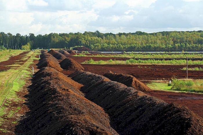Torfabbau im Himmelmoor bei Quickborn in Schleswig-Holstein