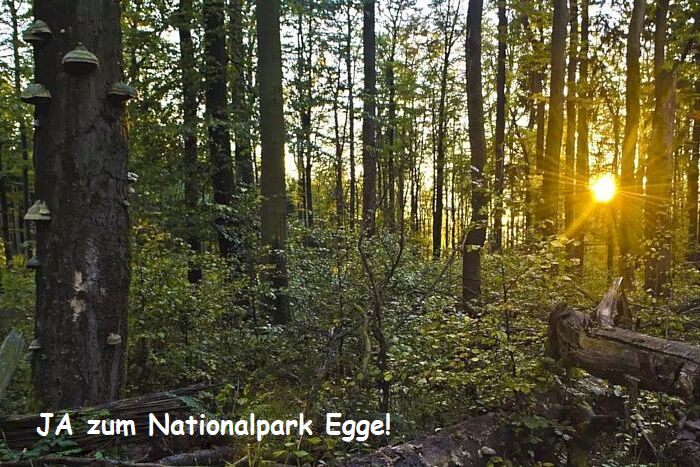 JA zum Nationalpark Egge!