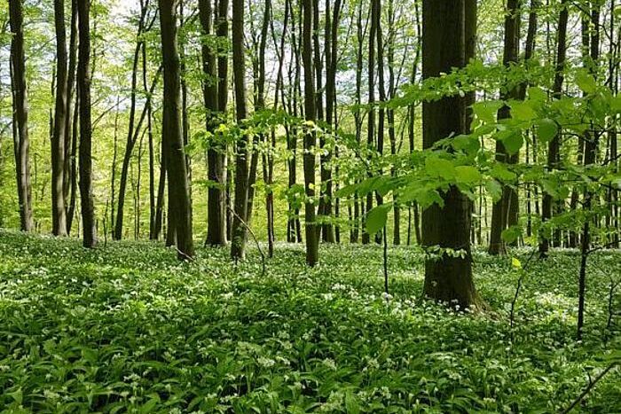 Unsere Entscheidung: Für den Nationalpark Egge