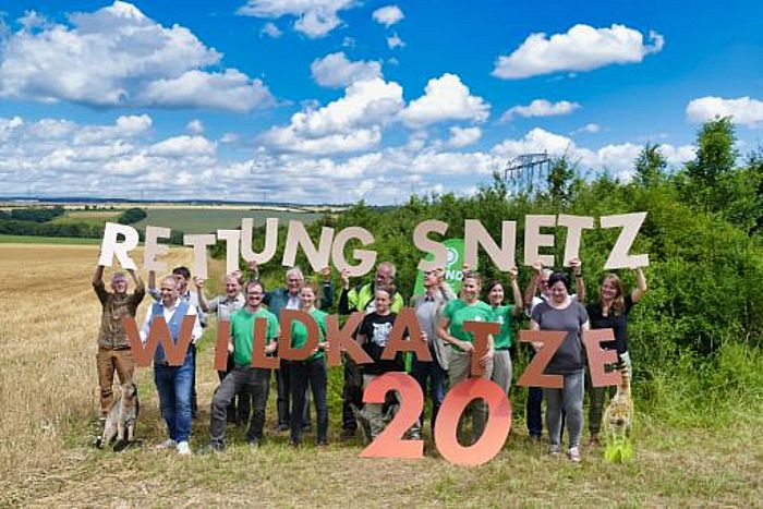 20 Jahre Rettungsnetz für die Wildkatze