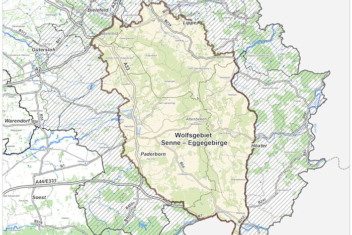 Kartenausschnitt: Wolfsgebiet Senne - Eggegebirge