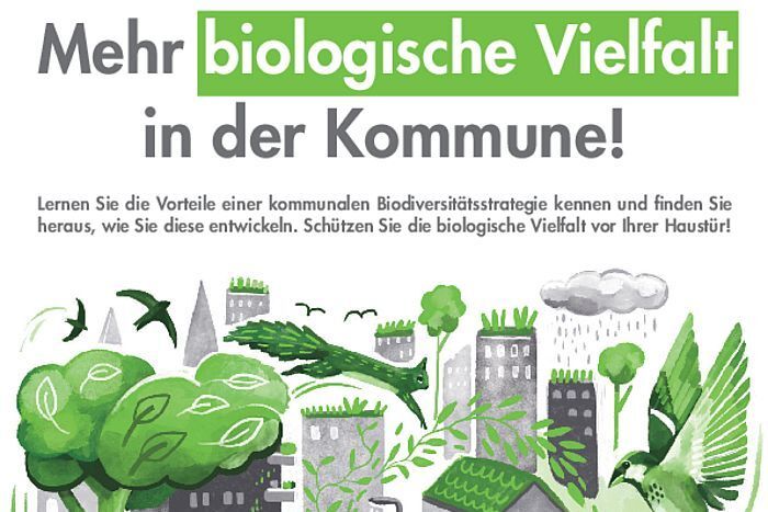 Broschüre: Mehr biologische Vielfalt in der Kommune!