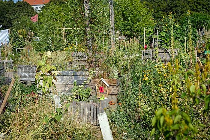 Urban-Gardening-Projekt in Berlin