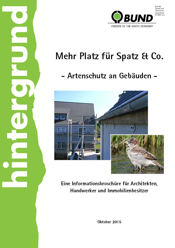 BUNDhintergrund: Mehr Platz für Spatz & Co. - Artenschutz an Gebäuden