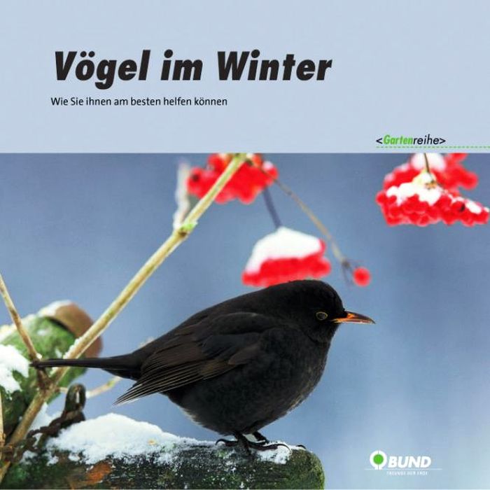 Broschüre: Vögel im Winter - Wie sie ihnen am besten helfen können