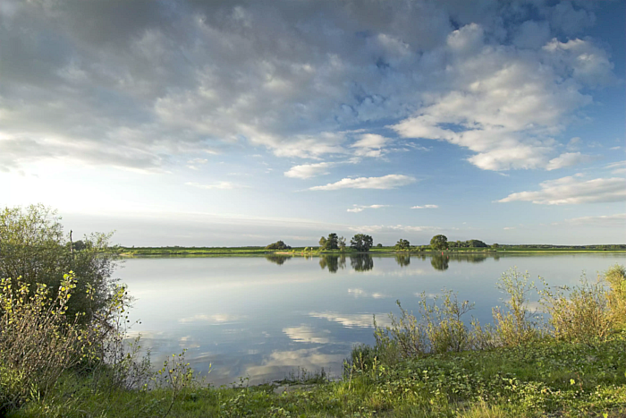 Naturnahe Flusslandschaft Elbe