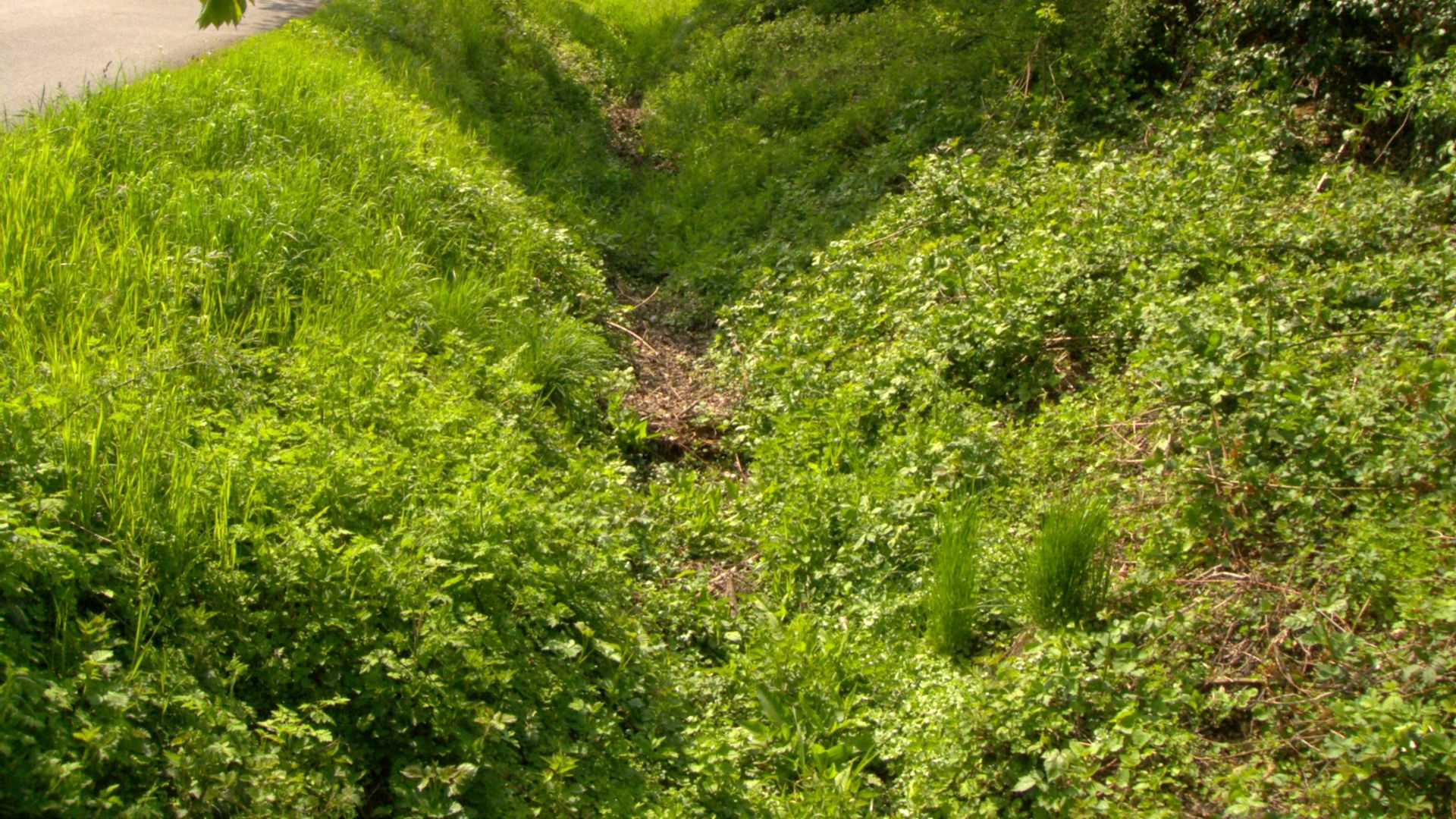 Twierbach in Höxter-Stahle