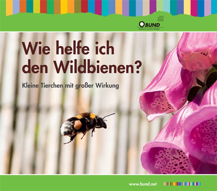 Broschüre: Wie helfe ich den Wildbienen?