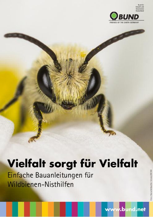 Broschüre: Vielfalt sorgt für Vielfalt - Einfache Bauanleitungen für Wildbienen-Nisthilfen